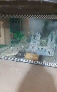اکواریوم