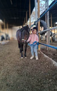 بر زین باشو قهرمان شو