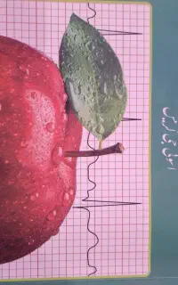کتاب دست دوم دانشگاهی