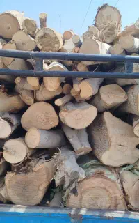 خرید و فروش انواع درخت و‌چوب