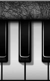 تمامی امکانات ارگ اندروید