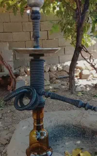 دوسیب
