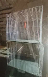 قفس پرنده