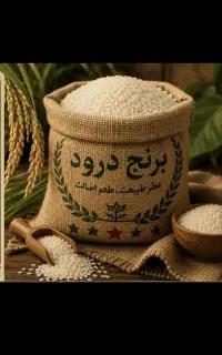 برنج دورود وعنبربو سالم و نیم دانه