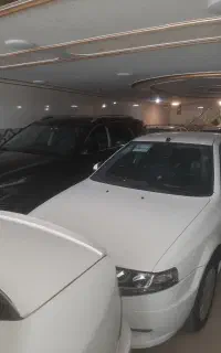 سورن خشک تکسوز