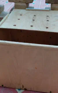 جعبه حمل حیوانات خانگی
