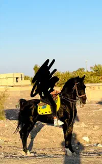 اسب نریان کرد