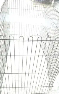 پارک سگ پامر