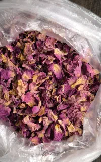 گل محمدی خشک شده