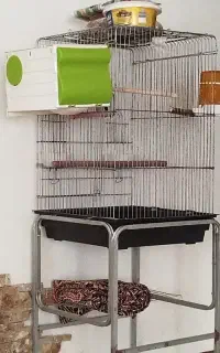 قفس و پایه