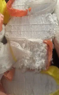 پنبه ۸۰۰کیلو