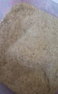 گزو اصل