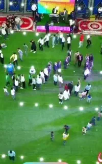 داربست مجالس عروسی