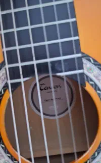 گیتار کاملا نو