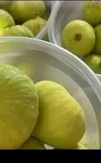 انجیر تازه چین انجیر سفید گرگان کیلوی۲۰۰