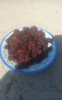 رب انار ،آلو و آلوچه خشک افتابی.بنه سبز پرچرب