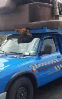نیسان بار وانت بار حمل بار و باربری