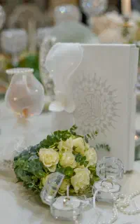 عکاس عقد و بله برون