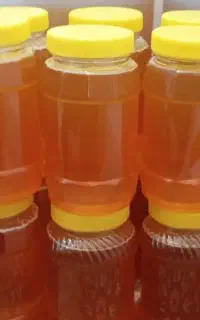 عسل کاملاً ارگانیک و طبیعی گون