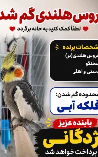 عروس هلندی گمشده