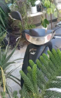 پاکشتیHONDA،a