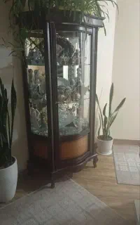 بوفه سالم و محکم
