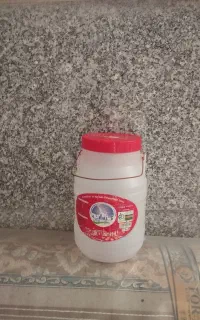 دب دوکیلونیمی