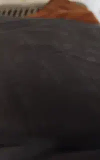 استر مشگی الگانس