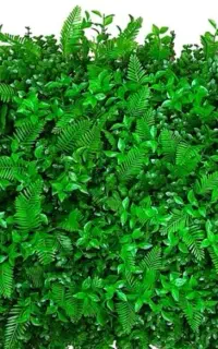 گرین وال نو نو طرح شیک ضمانتی