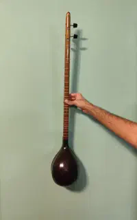 سه تار شیخ محسن مهر دار