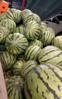 شاگرد/میوه فروشی