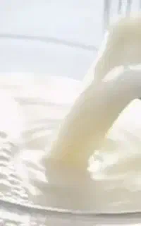 شیر محلی