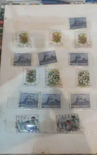 کلکسیون تمبر
