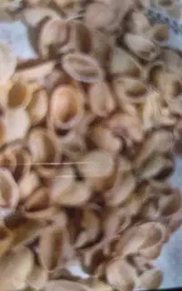 خرید پسته پوک وگو ومغز درب منزل