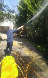 خدمات باغ و باغچه