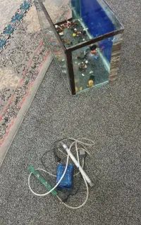 اکواریوم.ماهی