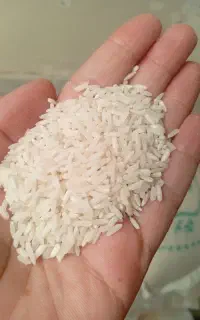 برنج درشت هاشمی شاهقدم 300