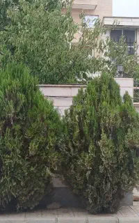 ویلای شهرک بعثت