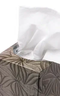 برند سلولزی دلوان