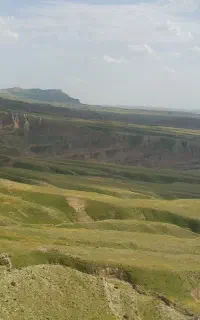 طبیعتگردی
