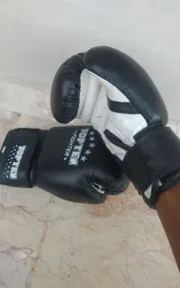 دستکش بوکس تاپ تن