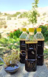 محصولات اورگانیک و طبیعی