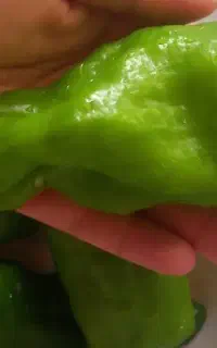 فلفل سبز گیجلر
