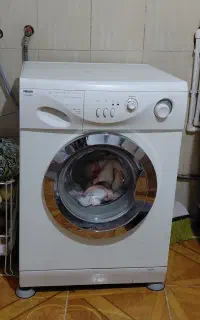 کالا
