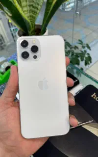 12pro