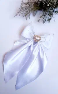 گیره سر مجلسی