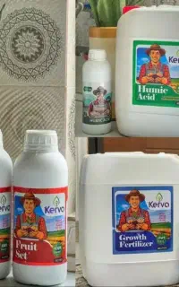 کود ارگانیک مرغی بالای ۳۰٪افزایش محصول