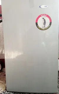 مینی یخچال پارس