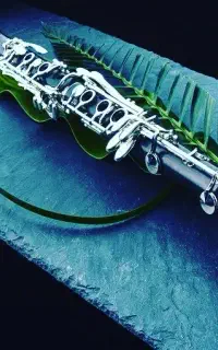 آموزشگاه موسیقی روژان