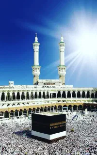حج تمتع ۲ عدد موجود